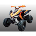 MOTO DE 250CC ATV-2